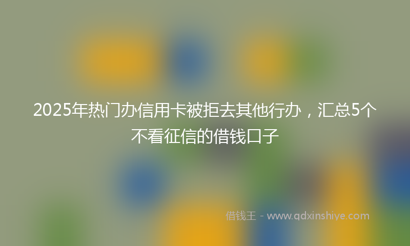 2025年热门办信用卡被拒去其他行办，汇总5个不看征信的借钱口子