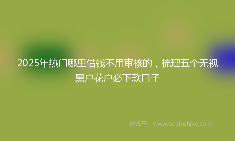 2025年热门哪里借钱不用审核的，梳理五个无视黑户花户必下款口子
