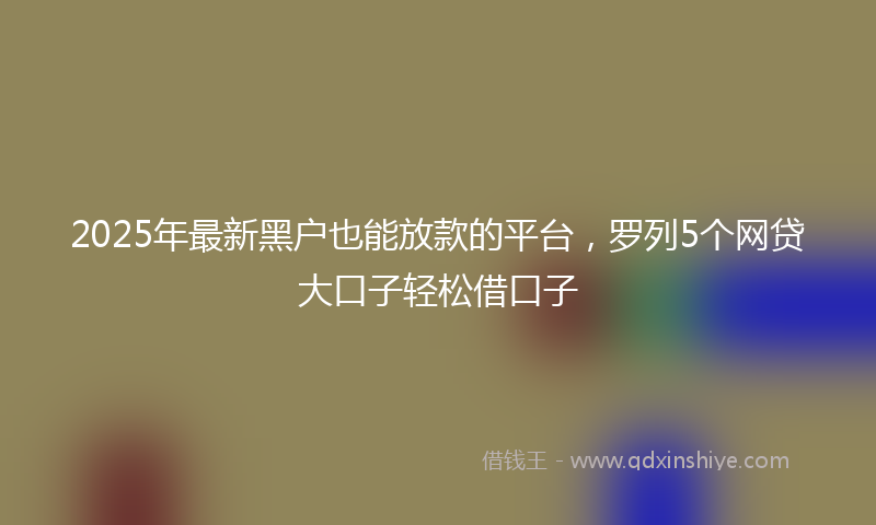 2025年最新黑户也能放款的平台，罗列5个网贷大口子轻松借口子