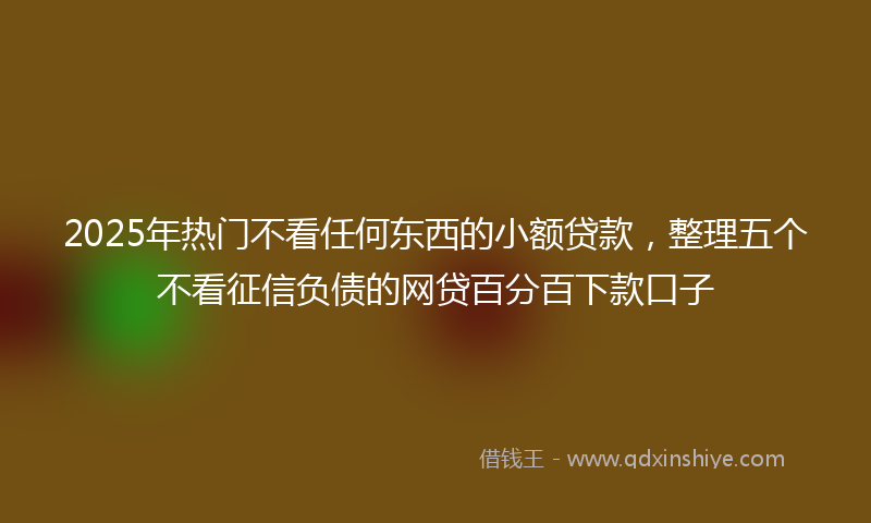2025年热门不看任何东西的小额贷款，整理五个不看征信负债的网贷百分百下款口子