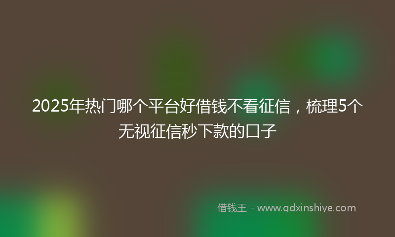 2025年热门哪个平台好借钱不看征信，梳理5个无视征信秒下款的口子