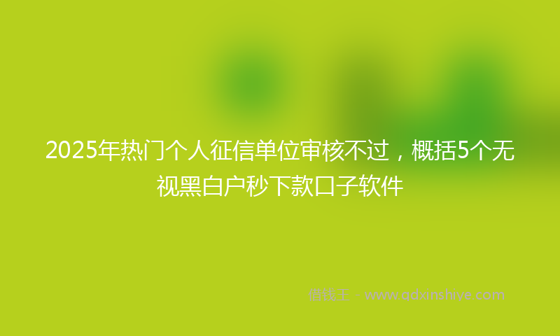 2025年热门个人征信单位审核不过，概括5个无视黑白户秒下款口子软件
