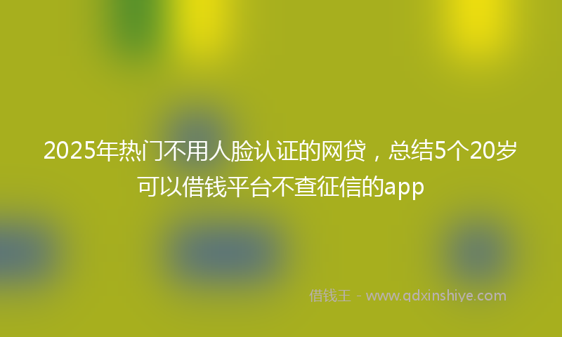 2025年热门不用人脸认证的网贷，总结5个20岁可以借钱平台不查征信的app