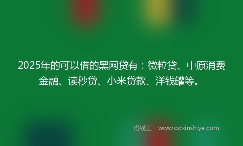 2025年的可以借的黑网贷有：微粒贷、中原消费金融、读秒贷、小米贷款、洋钱罐等。
