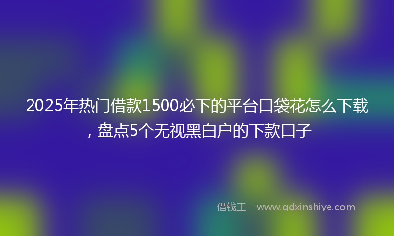 2025年热门借款1500必下的平台口袋花怎么下载，盘点5个无视黑白户的下款口子