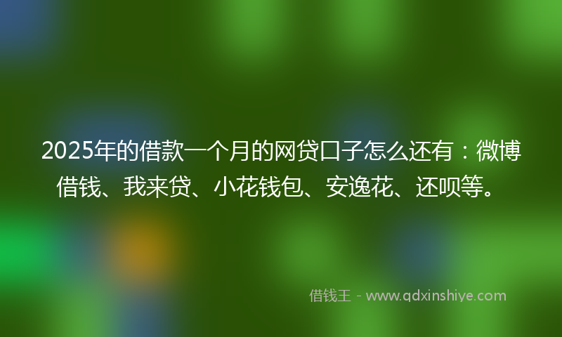 2025年的借款一个月的网贷口子怎么还有：微博借钱、我来贷、小花钱包、安逸花、还呗等。