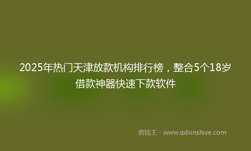 2025年热门天津放款机构排行榜，整合5个18岁借款神器快速下款软件