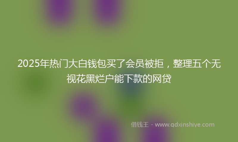 2025年热门大白钱包买了会员被拒，整理五个无视花黑烂户能下款的网贷