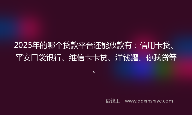 2025年的哪个贷款平台还能放款有：信用卡贷、平安口袋银行、维信卡卡贷、洋钱罐、你我贷等。