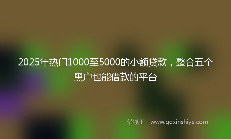 2025年热门1000至5000的小额贷款，整合五个黑户也能借款的平台