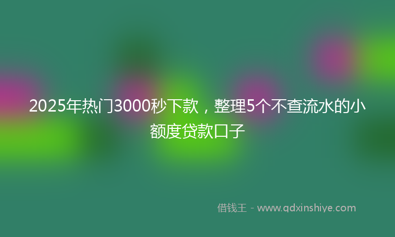 2025年热门3000秒下款，整理5个不查流水的小额度贷款口子
