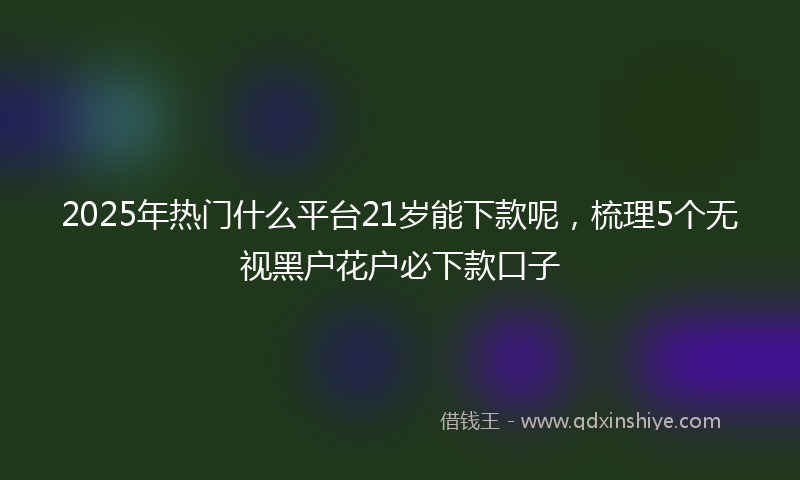 2025年热门什么平台21岁能下款呢，梳理5个无视黑户花户必下款口子