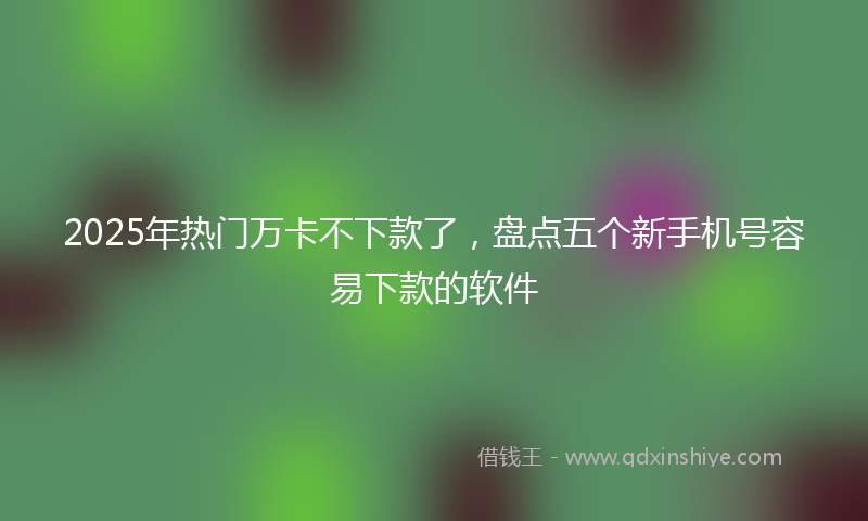 2025年热门万卡不下款了，盘点五个新手机号容易下款的软件