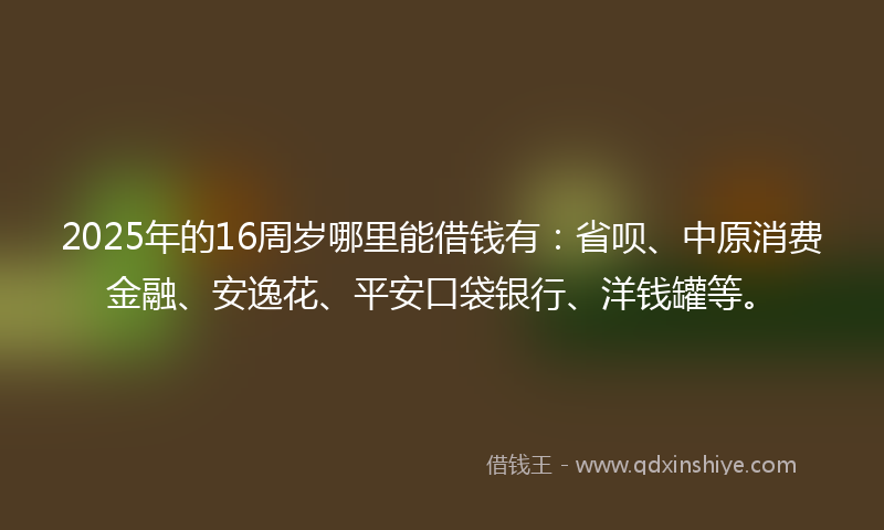 2025年的16周岁哪里能借钱有：省呗、中原消费金融、安逸花、平安口袋银行、洋钱罐等。