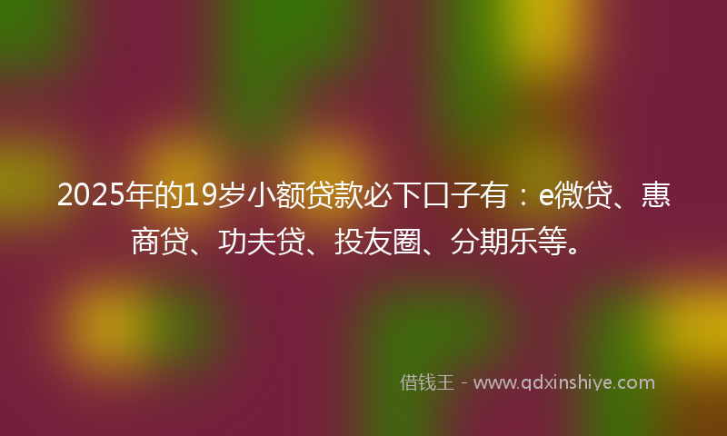 2025年的19岁小额贷款必下口子有：e微贷、惠商贷、功夫贷、投友圈、分期乐等。
