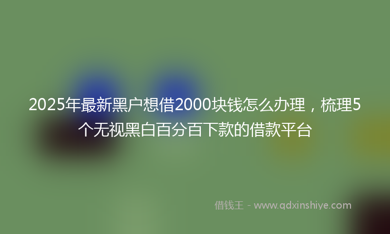 2025年最新黑户想借2000块钱怎么办理，梳理5个无视黑白百分百下款的借款平台