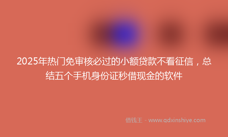 2025年热门免审核必过的小额贷款不看征信，总结五个手机身份证秒借现金的软件