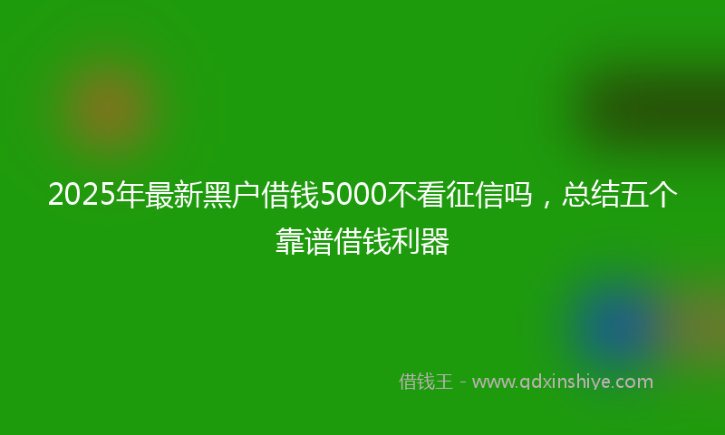 2025年最新黑户借钱5000不看征信吗，总结五个靠谱借钱利器