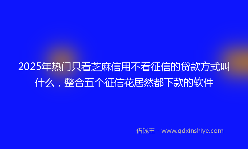 2025年热门只看芝麻信用不看征信的贷款方式叫什么，整合五个征信花居然都下款的软件