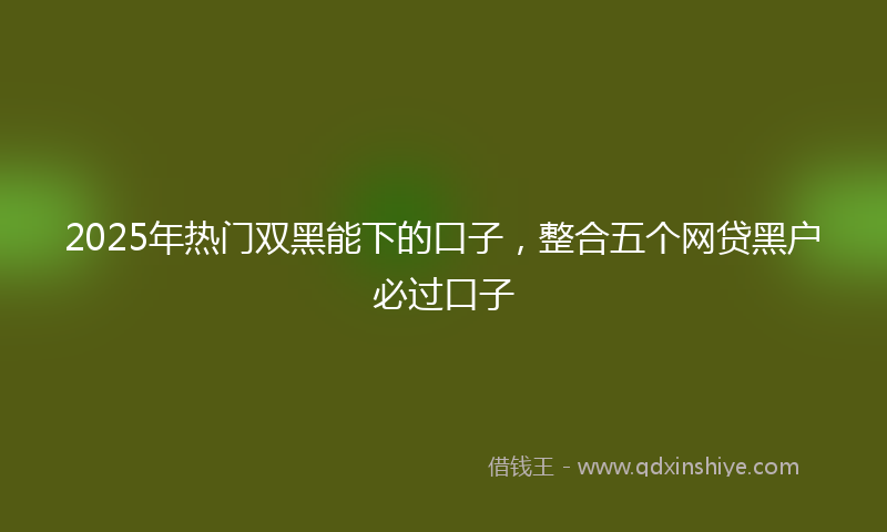 2025年热门双黑能下的口子，整合五个网贷黑户必过口子