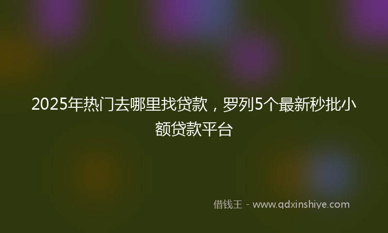 2025年热门去哪里找贷款，罗列5个最新秒批小额贷款平台