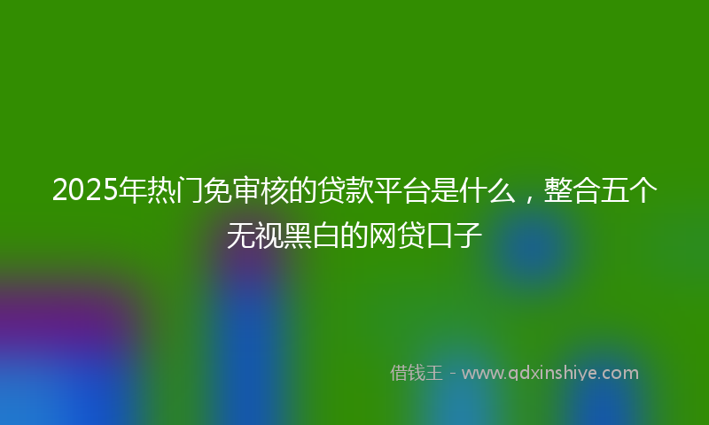 2025年热门免审核的贷款平台是什么，整合五个无视黑白的网贷口子