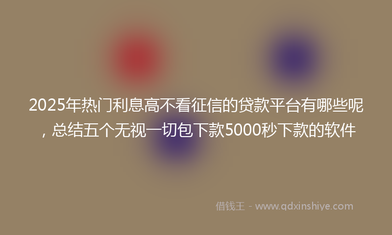 2025年热门利息高不看征信的贷款平台有哪些呢，总结五个无视一切包下款5000秒下款的软件