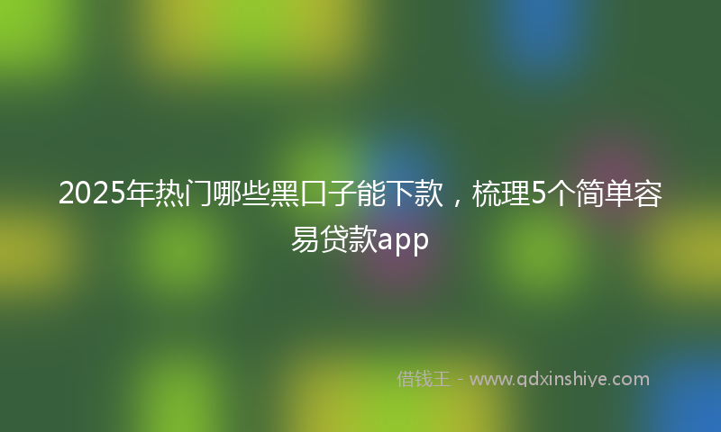 2025年热门哪些黑口子能下款，梳理5个简单容易贷款app