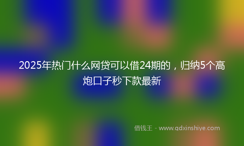 2025年热门什么网贷可以借24期的，归纳5个高炮口子秒下款最新