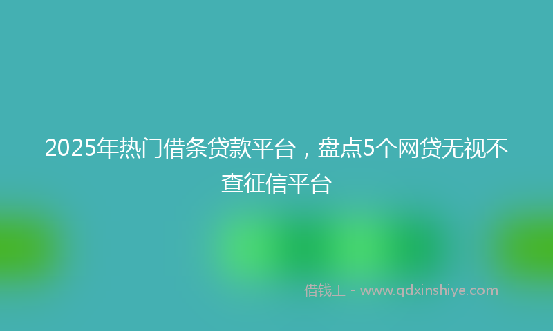 2025年热门借条贷款平台,盘点5个网贷无视不查征信平台