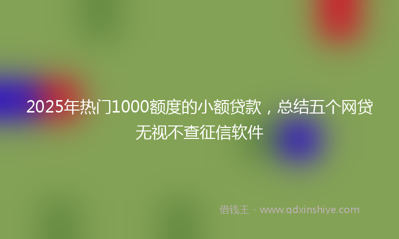 2025年热门1000额度的小额贷款，总结五个网贷无视不查征信软件