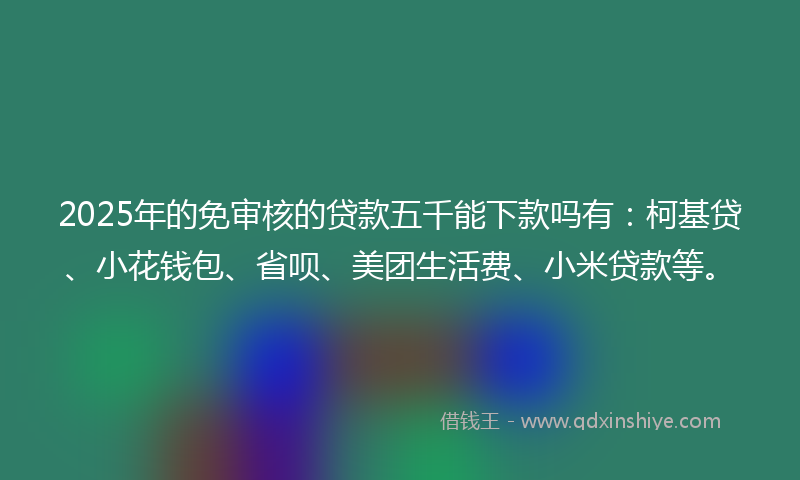 2025年的免审核的贷款五千能下款吗有：柯基贷、小花钱包、省呗、美团生活费、小米贷款等。