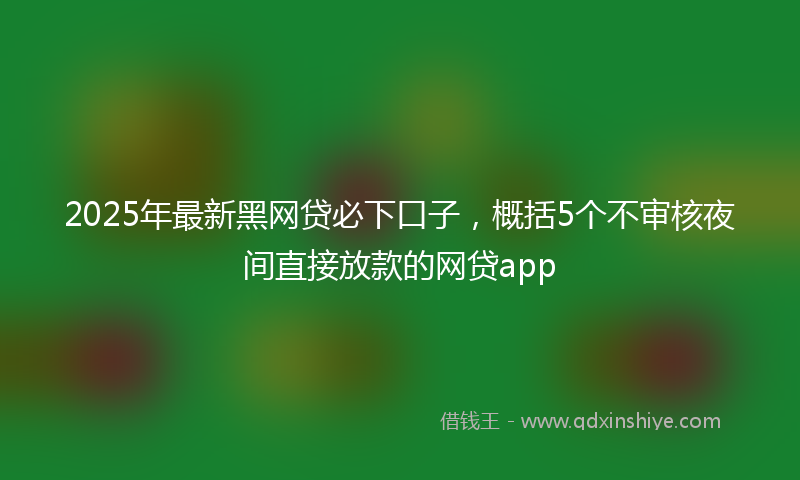 2025年最新黑网贷必下口子，概括5个不审核夜间直接放款的网贷app