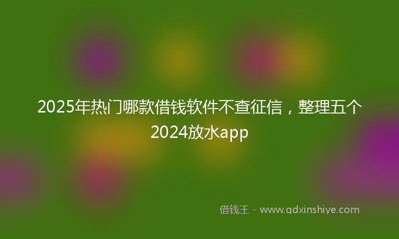 2025年热门哪款借钱软件不查征信，整理五个2024放水app