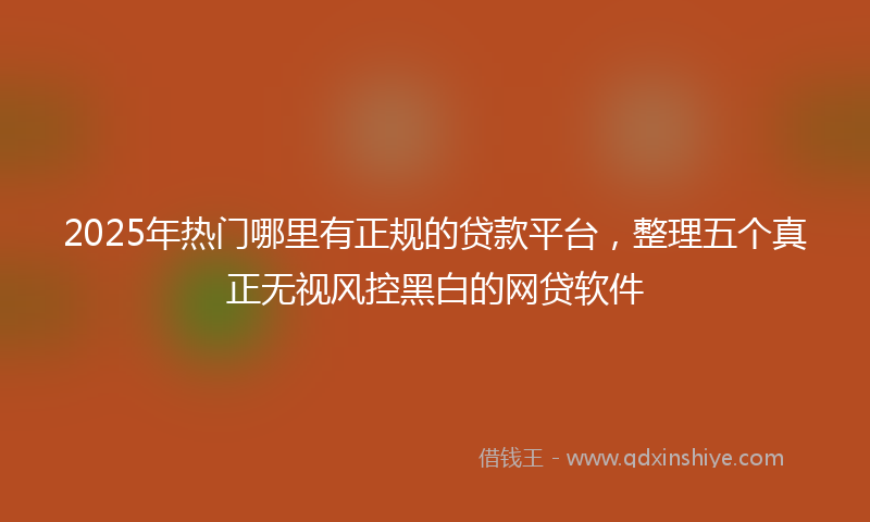 2025年热门哪里有正规的贷款平台，整理五个真正无视风控黑白的网贷软件