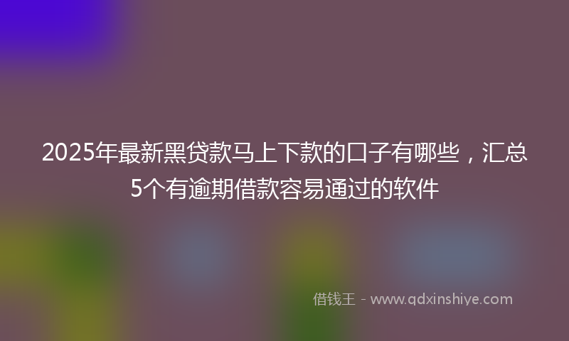 2025年最新黑贷款马上下款的口子有哪些，汇总5个有逾期借款容易通过的软件