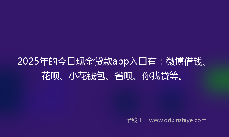 2025年的今日现金贷款app入口有：微博借钱、花呗、小花钱包、省呗、你我贷等。