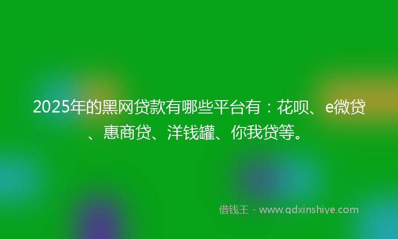 2025年的黑网贷款有哪些平台有：花呗、e微贷、惠商贷、洋钱罐、你我贷等。