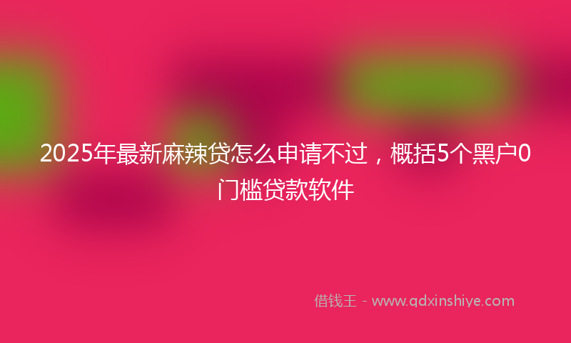 2025年最新麻辣贷怎么申请不过，概括5个黑户0门槛贷款软件