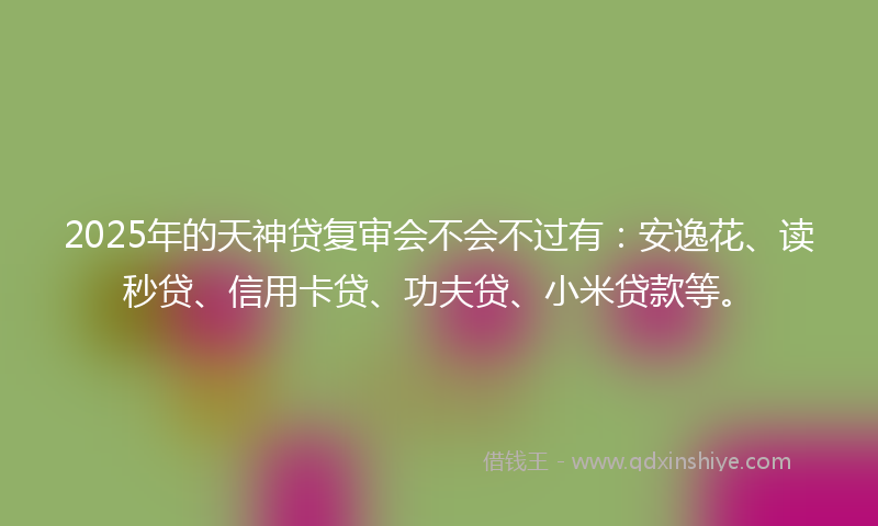 2025年的天神贷复审会不会不过有：安逸花、读秒贷、信用卡贷、功夫贷、小米贷款等。