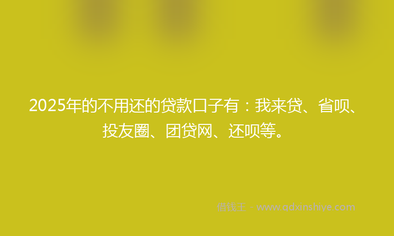 2025年的不用还的贷款口子有：我来贷、省呗、投友圈、团贷网、还呗等。