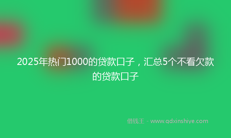 2025年热门1000的贷款口子，汇总5个不看欠款的贷款口子