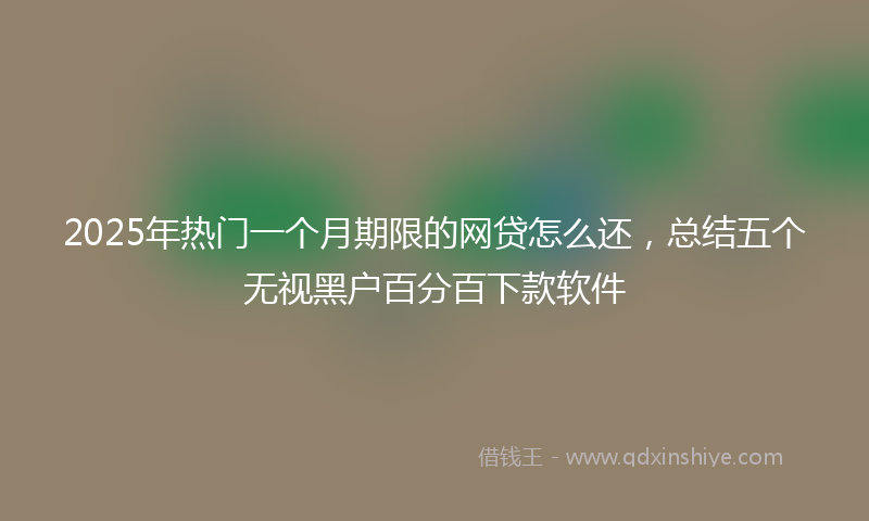 2025年热门一个月期限的网贷怎么还，总结五个无视黑户百分百下款软件