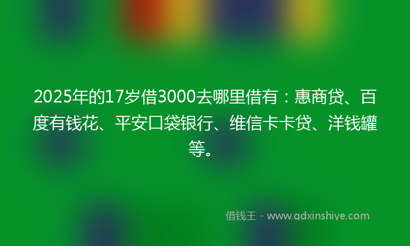 2025年的17岁借3000去哪里借有：惠商贷、百度有钱花、平安口袋银行、维信卡卡贷、洋钱罐等。