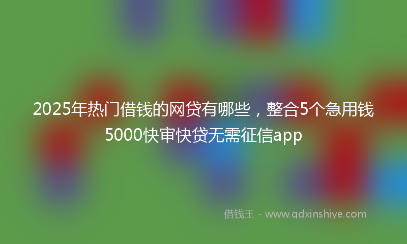 2025年热门借钱的网贷有哪些，整合5个急用钱5000快审快贷无需征信app
