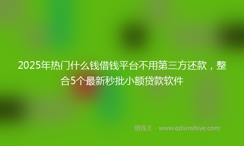 2025年热门什么钱借钱平台不用第三方还款，整合5个最新秒批小额贷款软件