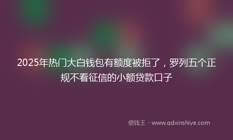 2025年热门大白钱包有额度被拒了，罗列五个正规不看征信的小额贷款口子