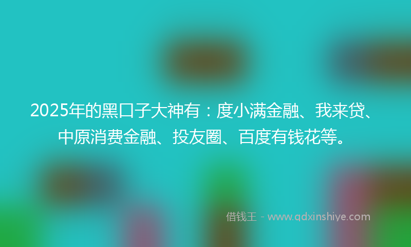 2025年的黑口子大神有：度小满金融、我来贷、中原消费金融、投友圈、百度有钱花等。