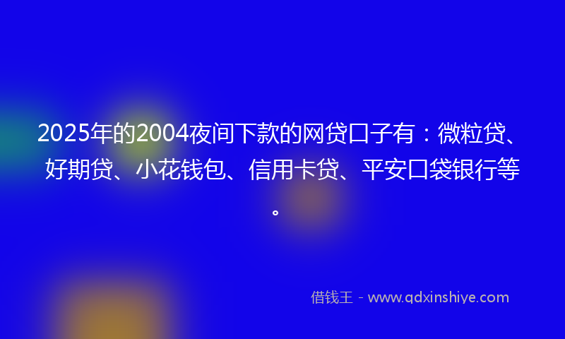 2025年的2004夜间下款的网贷口子有：微粒贷、好期贷、小花钱包、信用卡贷、平安口袋银行等。