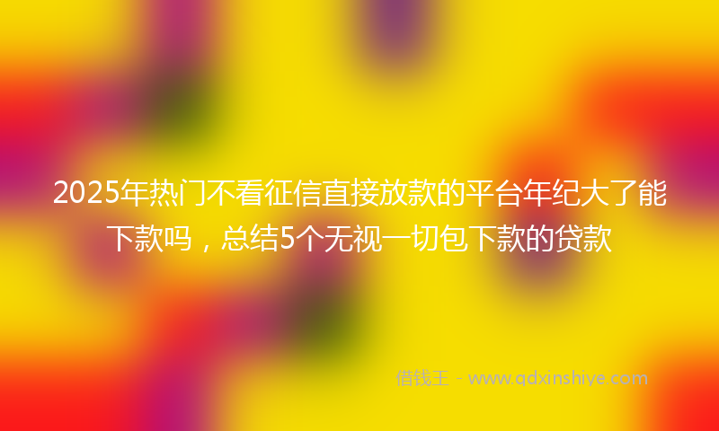 2025年热门不看征信直接放款的平台年纪大了能下款吗，总结5个无视一切包下款的贷款